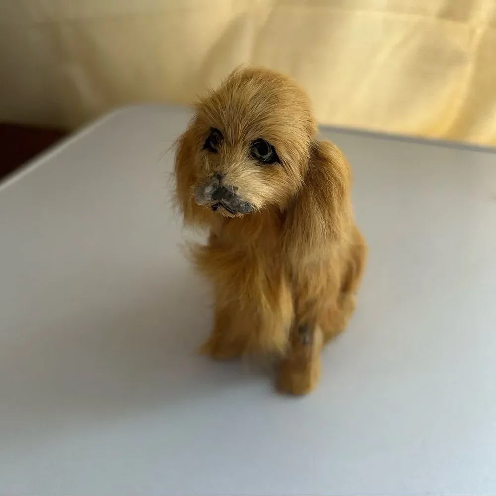 Realistic Brown Dog Figurine